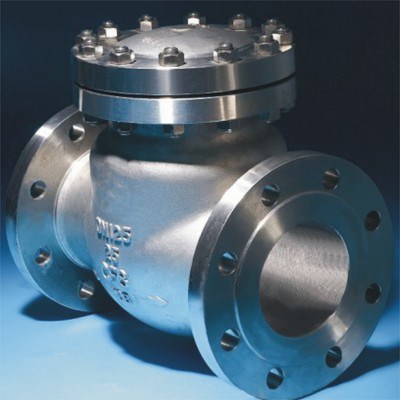 Stainless Steel Check Valve    